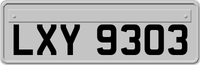 LXY9303