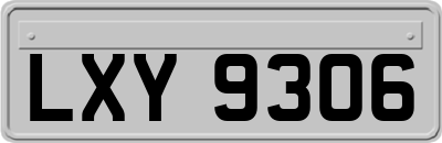 LXY9306