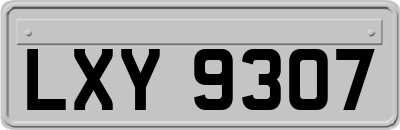 LXY9307