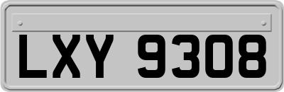 LXY9308