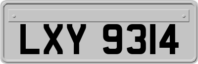 LXY9314