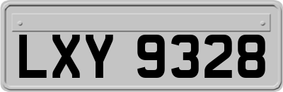 LXY9328