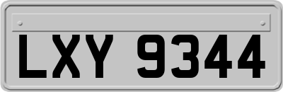 LXY9344