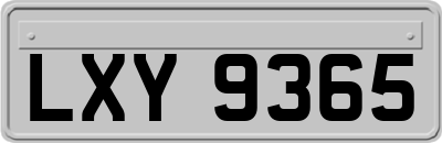 LXY9365