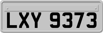 LXY9373