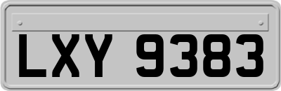 LXY9383