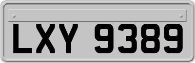 LXY9389