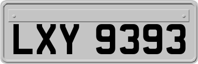 LXY9393