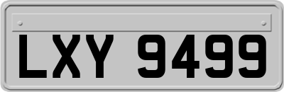 LXY9499