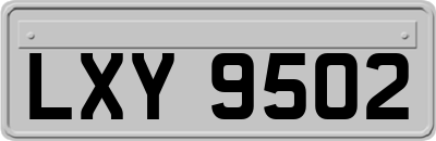 LXY9502