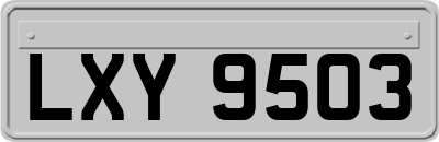 LXY9503