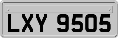 LXY9505
