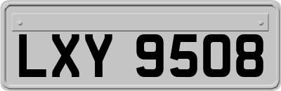 LXY9508