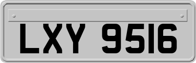 LXY9516