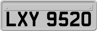 LXY9520