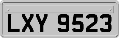 LXY9523