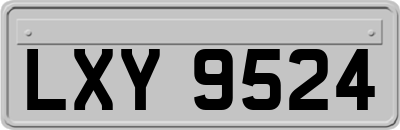 LXY9524