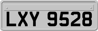LXY9528