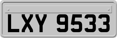 LXY9533