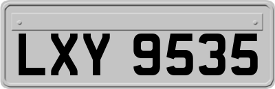 LXY9535