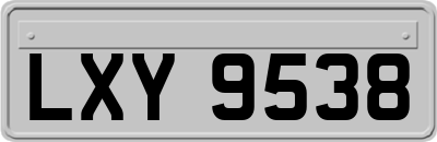 LXY9538