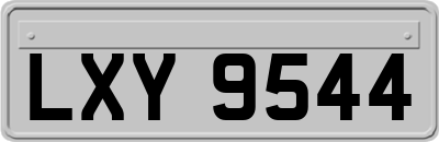 LXY9544