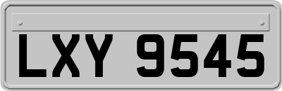 LXY9545