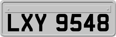 LXY9548