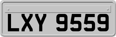 LXY9559
