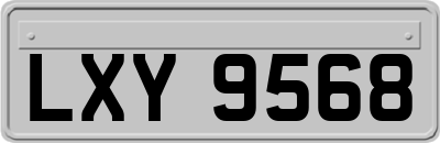 LXY9568