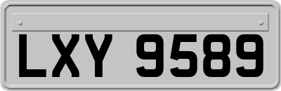 LXY9589