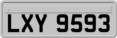 LXY9593