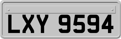 LXY9594