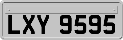 LXY9595