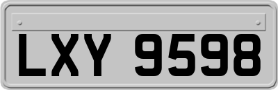 LXY9598