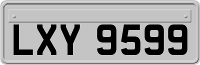 LXY9599