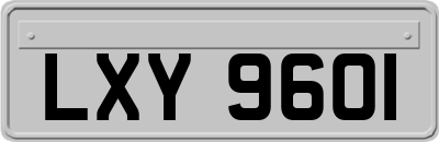 LXY9601