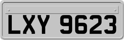 LXY9623