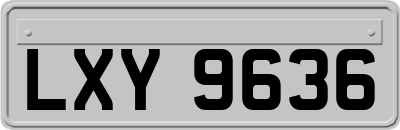 LXY9636