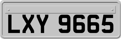 LXY9665