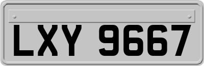 LXY9667