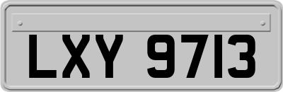 LXY9713