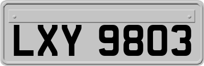 LXY9803