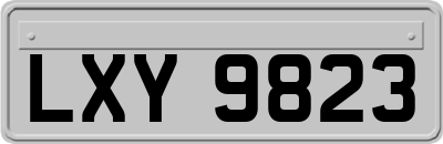 LXY9823