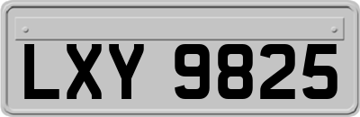 LXY9825