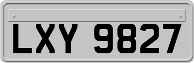 LXY9827