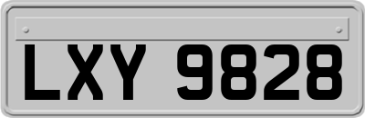 LXY9828