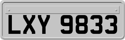 LXY9833