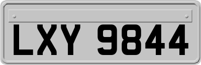 LXY9844