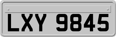 LXY9845